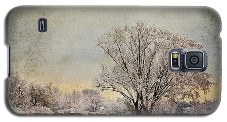 Tree Galaxy S5 Case featuring the photograph Unity Park 1 by Al Mueller