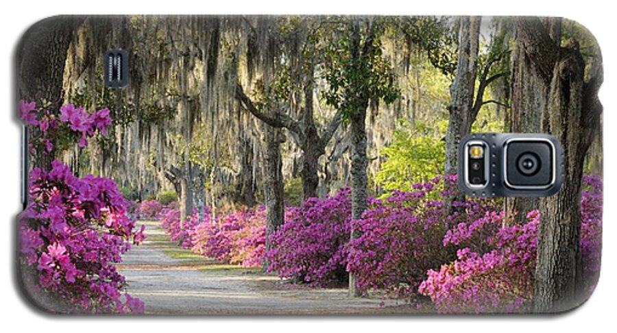 Road Galaxy S5 Case featuring the photograph Unpaved road with Azaleas and Oaks by Bradford Martin