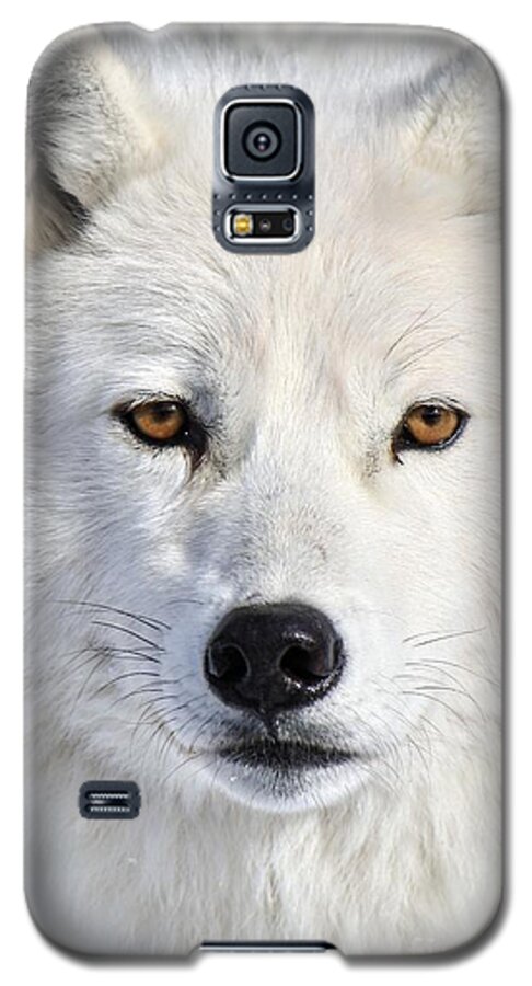 Cub Galaxy S5 Case featuring the photograph Up Close and Personal by Heather King
