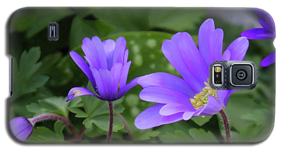 Tea Time Galaxy S5 Case featuring the photograph Vinca In The Morning by Jeanette C Landstrom
