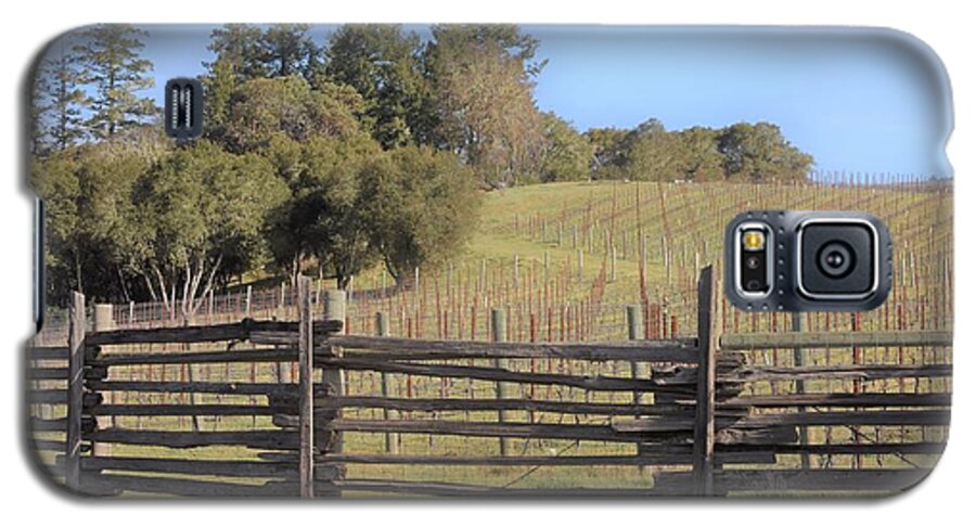 Anderson Valley Galaxy S5 Case featuring the photograph Vineyard in the Spring by Lisa Dunn