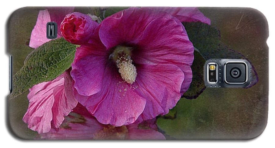 Pink Hollyhock Galaxy S5 Case featuring the photograph Vintage December Hollyhock by Richard Cummings