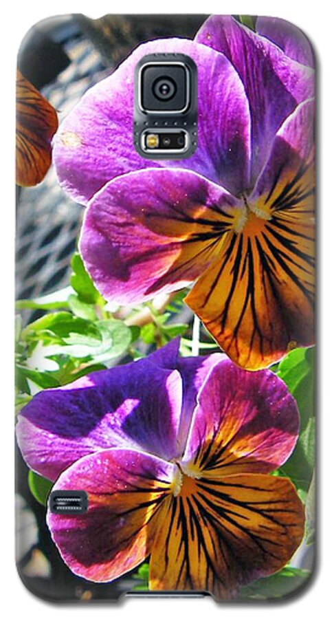 Nature Galaxy S5 Case featuring the photograph Violas by Lizi Beard-Ward