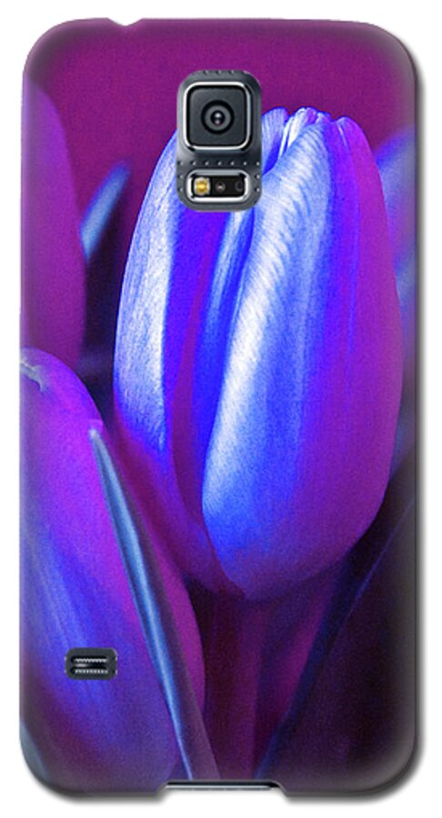 Violet Poetry Of Spring Galaxy S5 Case featuring the photograph Violet Poetry of Spring by Silva Wischeropp