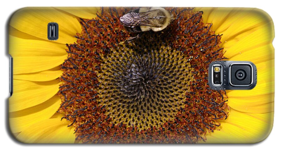 Sunflower Galaxy S5 Case featuring the photograph Vision of Summer by Randy Bodkins