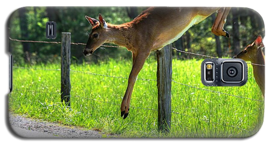 Deer Galaxy S5 Case featuring the photograph Waiting In Line by Carol Montoya