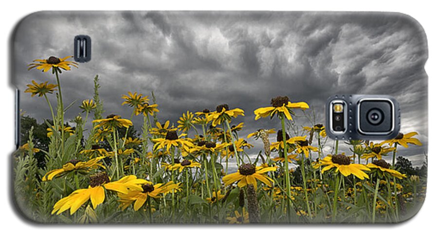 Wildflowers Galaxy S5 Case featuring the photograph Watch Out by Robert Fawcett