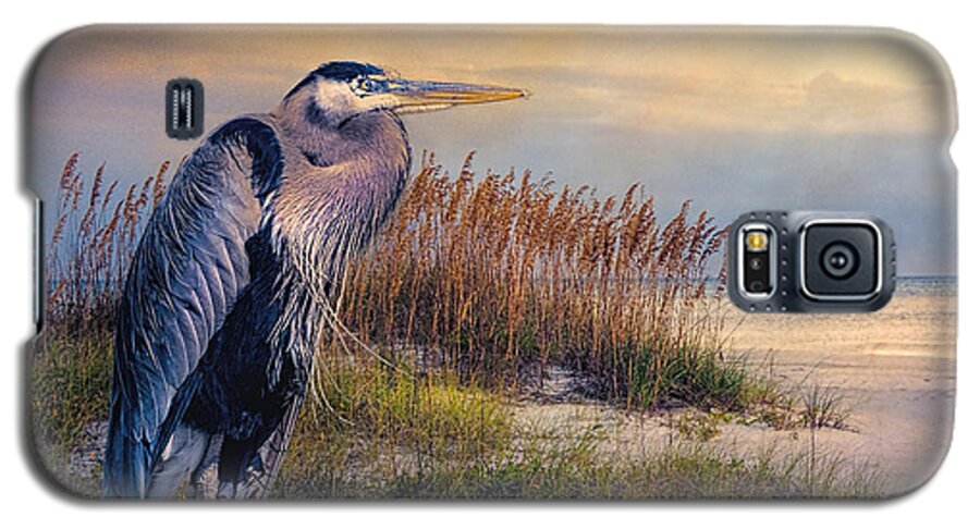 Great Blue Heron Galaxy S5 Case featuring the photograph Watching the sun go down by Brian Tarr
