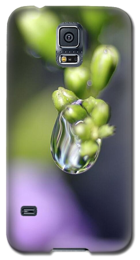 Macro Photography Galaxy S5 Case featuring the photograph Water Droplet IV by Richard Rizzo