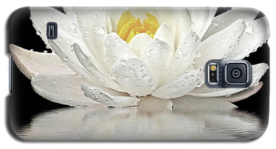 White Waterlily Galaxy S5 Case featuring the photograph Water Lily Reflections on Black by Gill Billington