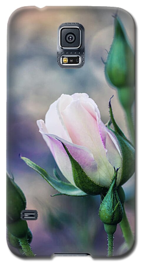 Flower Galaxy S5 Case featuring the photograph Watercolor Rose by Laura Roberts