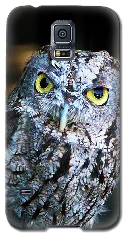 Owl Galaxy S5 Case featuring the photograph Western Screech Owl by Anthony Jones