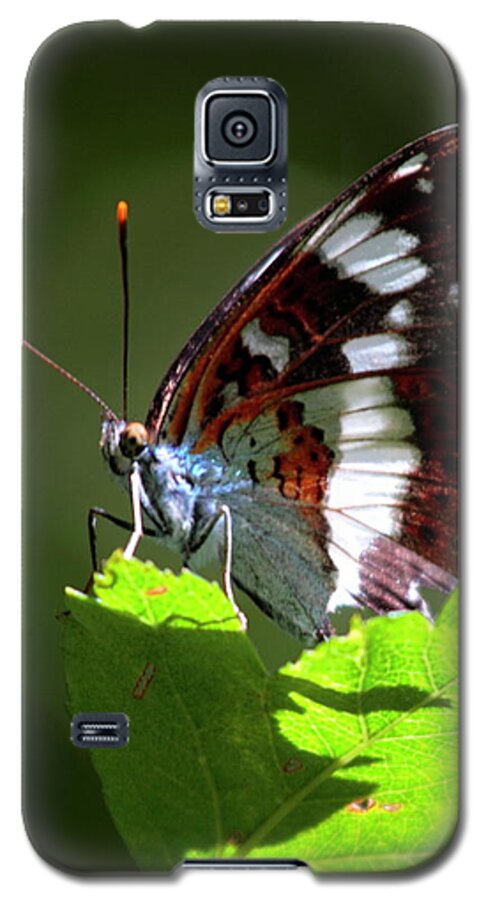White Admiral Butterfly Galaxy S5 Case featuring the photograph White Admiral Butterfly by Ian Sanders