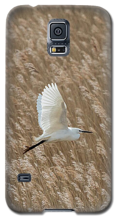 Little Egret Galaxy S5 Case featuring the photograph White and Gold by Wendy Cooper