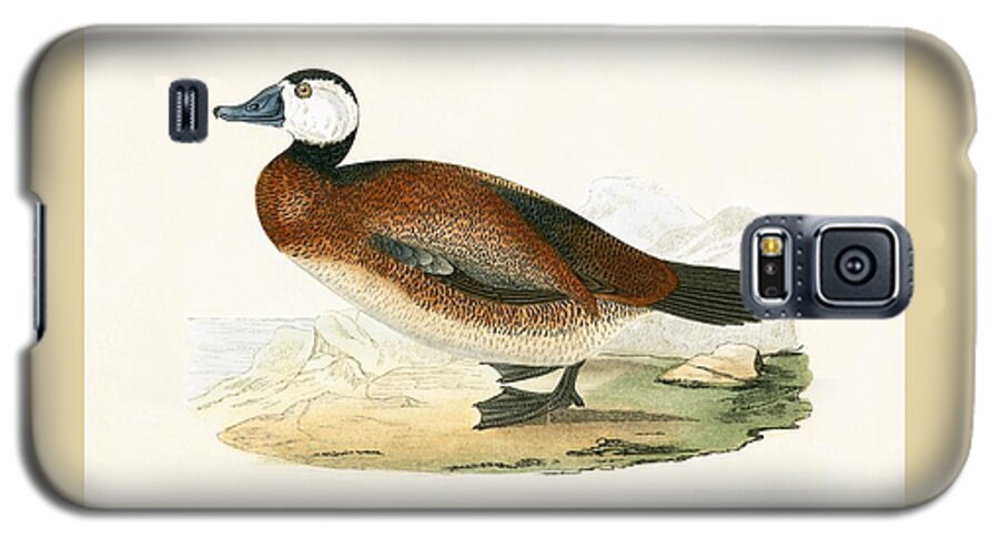 Bird Galaxy S5 Case featuring the painting White Headed Duck by English School