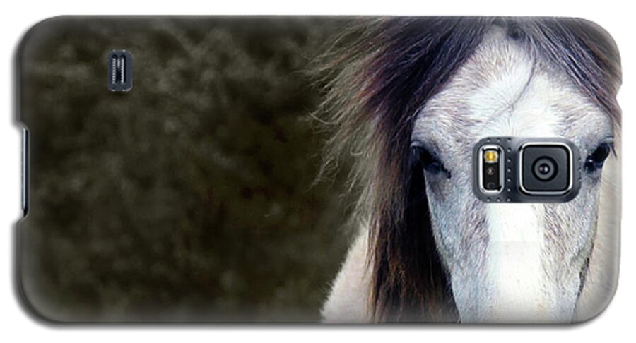 Horse Galaxy S5 Case featuring the photograph White Horse by Sebastian Mathews Szewczyk