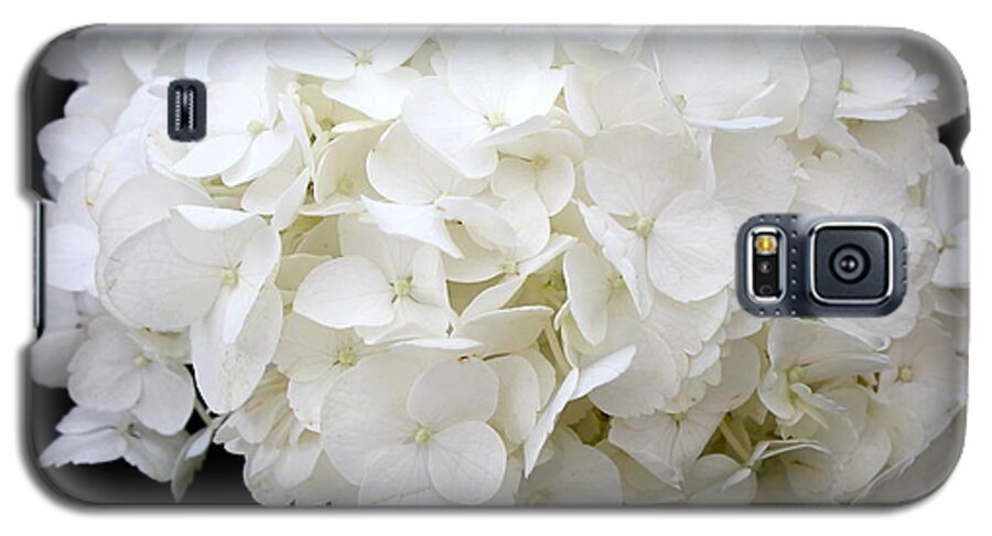 White Galaxy S5 Case featuring the photograph White Hydrangea by Kume Bryant