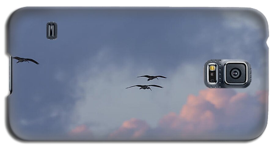 American Galaxy S5 Case featuring the photograph White Ibis in flight at sunset by David Watkins