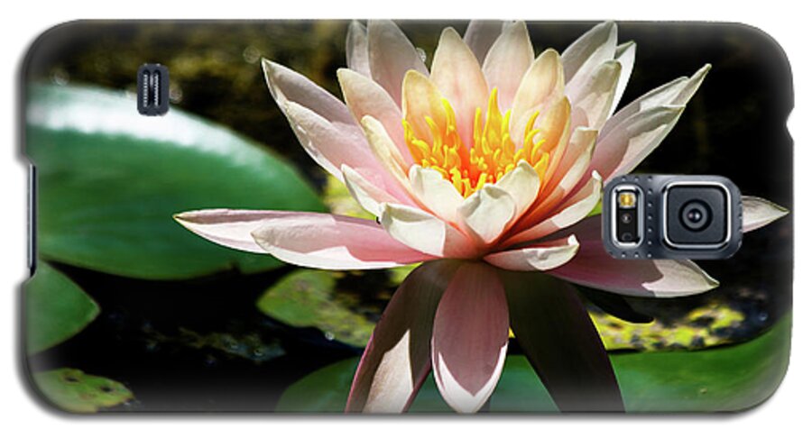 Lily Galaxy S5 Case featuring the photograph White Lily by Les Greenwood