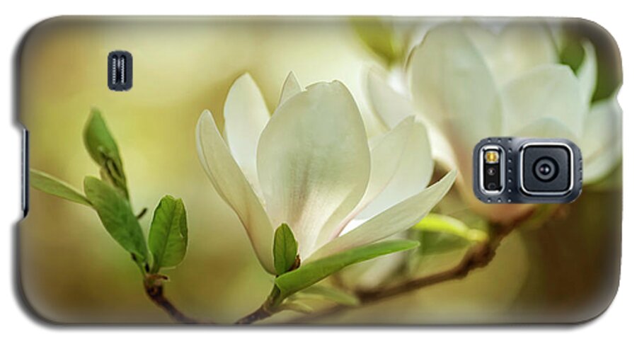 Magnolia Galaxy S5 Case featuring the photograph White magnolia flowers by Jaroslaw Blaminsky