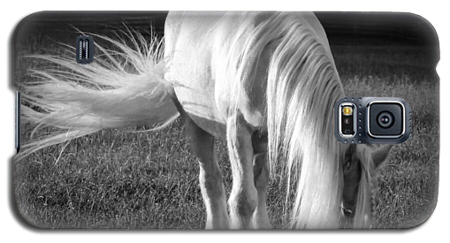 Equine Galaxy S5 Case featuring the photograph White on Black and White by Terry Kirkland Cook