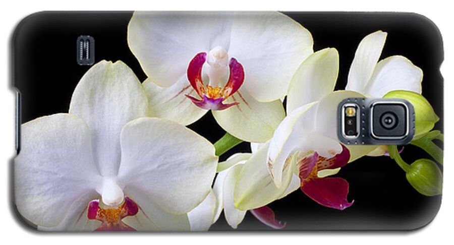 White Orchids Galaxy S5 Case featuring the photograph White Orchids by Garry Gay