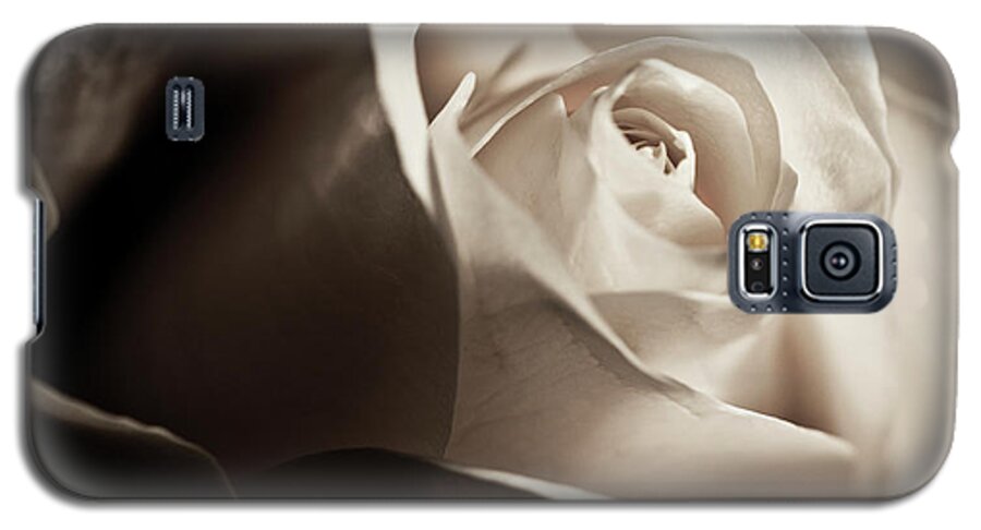White Rose Galaxy S5 Case featuring the photograph White Rose in sepia 2 by Micah May