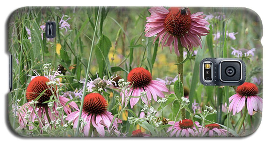 Wild Flowers Galaxy S5 Case featuring the photograph Wild Coneflowers by Paula Guttilla