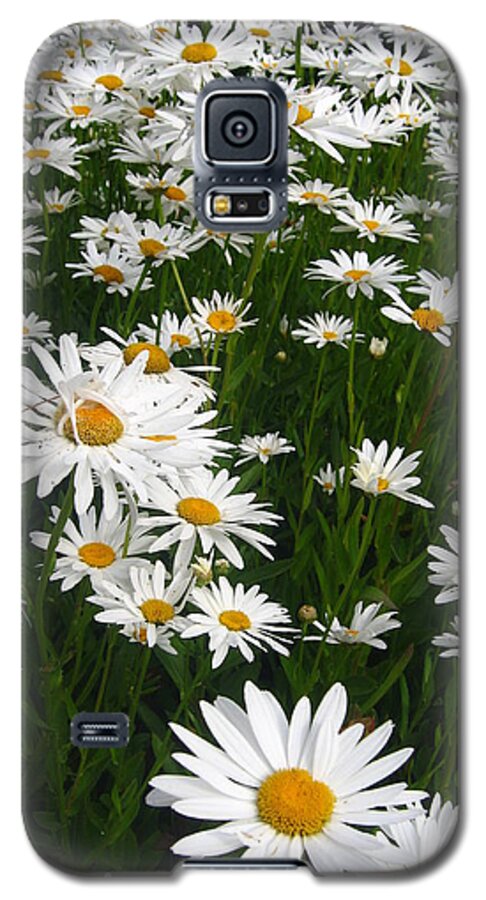 Wild Galaxy S5 Case featuring the photograph Wild Daisies by Dorothy Cunningham