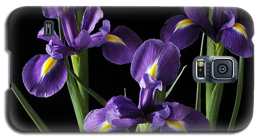 Iris Galaxy S5 Case featuring the photograph Wild Iris by Nancy Griswold