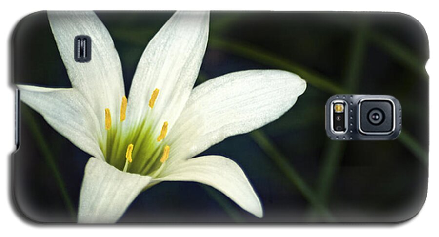 Lily Galaxy S5 Case featuring the photograph Wild Lily by Carolyn Marshall