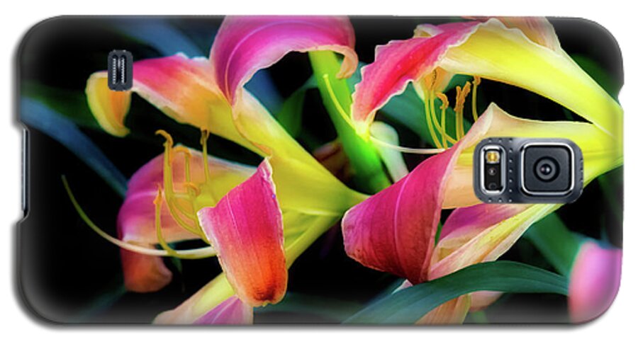 Daylilly Galaxy S5 Case featuring the photograph Wild Lily by Ches Black