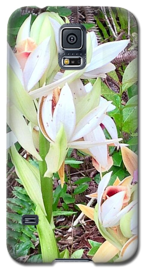 Wild Orchids Pastel 2 Flowers Of Aloha Galaxy S5 Case featuring the photograph Wild Orchids in Pastel 2 by Joalene Young