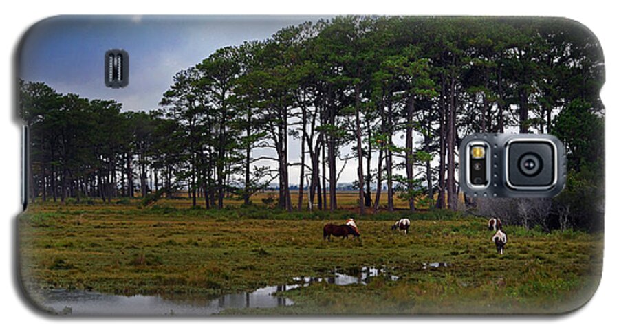Pony Galaxy S5 Case featuring the photograph Wild Ponies of Assateague by Lori Tambakis
