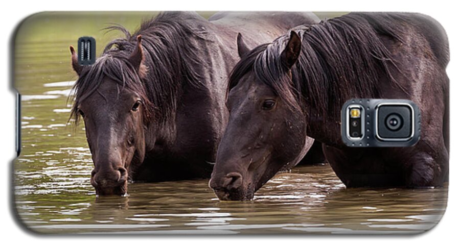Mark Miller Photos Galaxy S5 Case featuring the photograph Wild Stallions at the Water Hole by Mark Miller