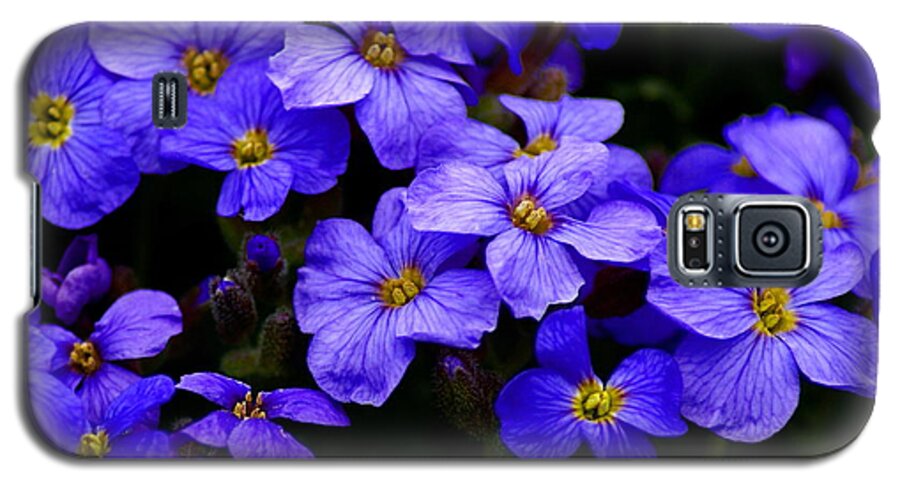 Flowers Galaxy S5 Case featuring the photograph Wildflower Blues by Ben Upham III