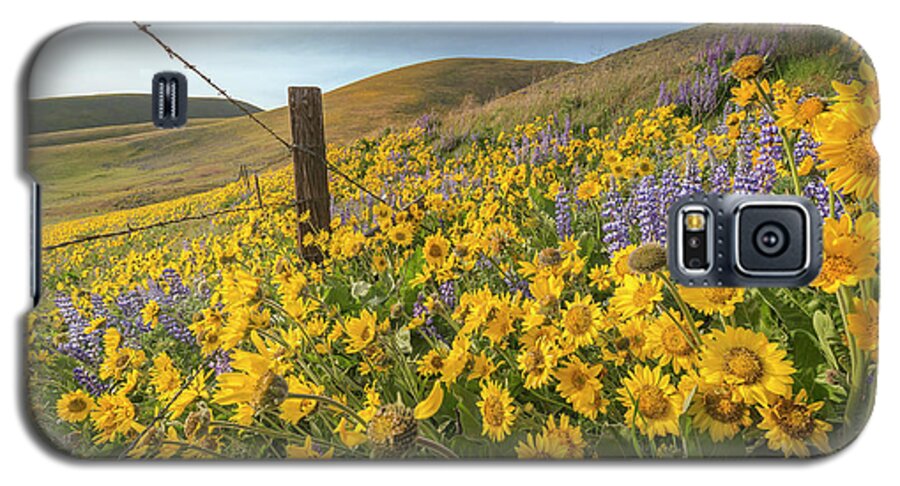Landscape Galaxy S5 Case featuring the photograph Wildflower Bonanza by Jon Ares