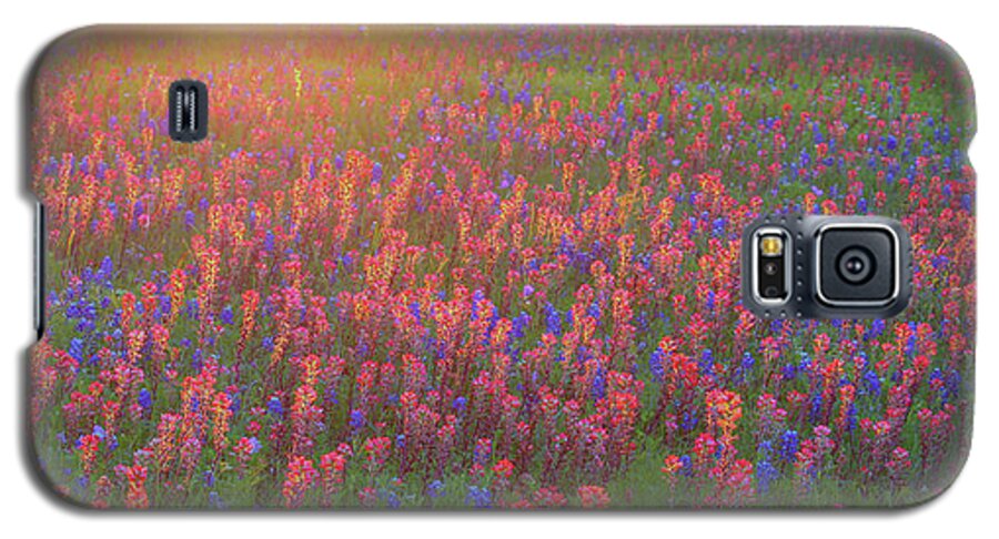 Blue Bonnets Galaxy S5 Case featuring the photograph Wildflowers in Texas by Robert Bellomy