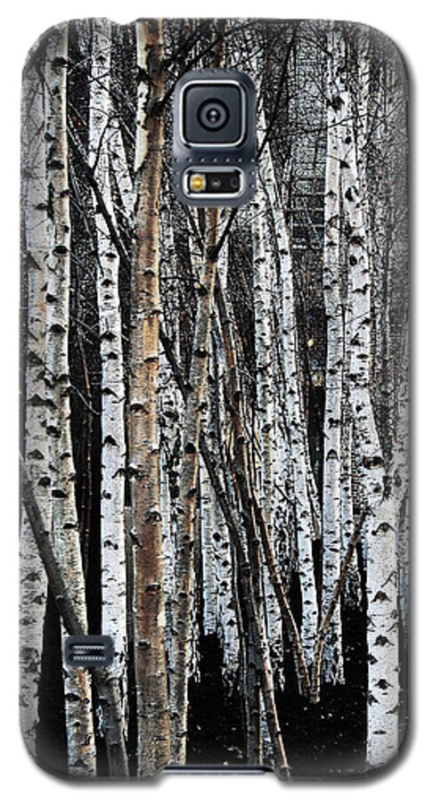 Trees Galaxy S5 Case featuring the digital art Birch by Julian Perry