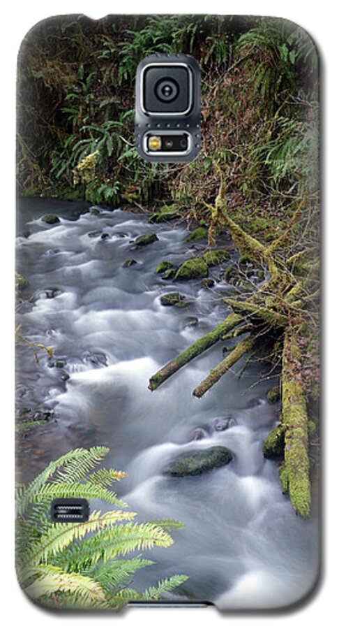 Nature Galaxy S5 Case featuring the photograph Wilson Creek #20 by Ben Upham III