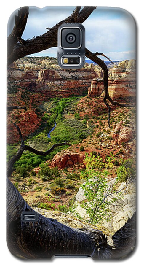 Chad Dutson Galaxy S5 Case featuring the photograph Window by Chad Dutson
