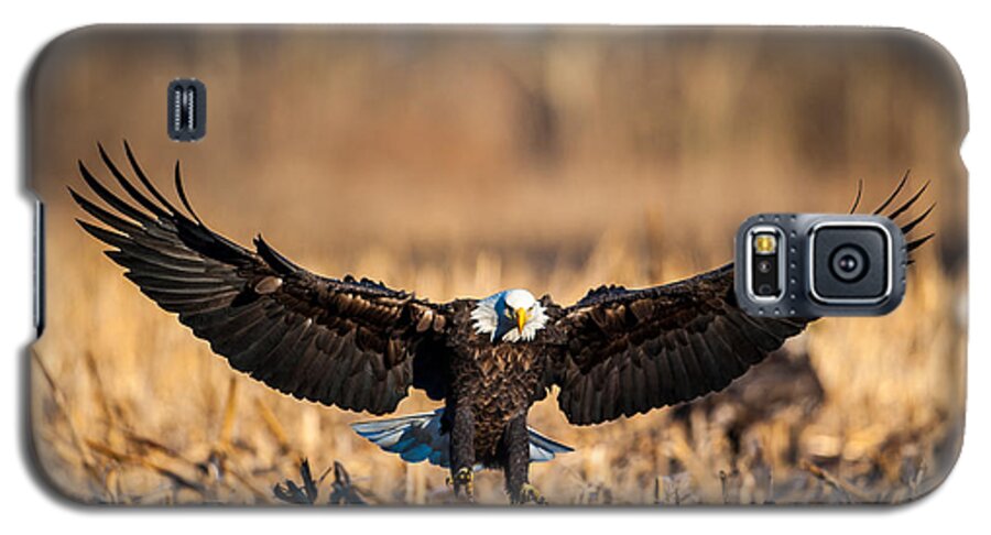 Animal Galaxy S5 Case featuring the photograph Wing Span by Jeff Phillippi