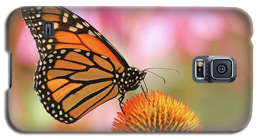 Butterfly Galaxy S5 Case featuring the photograph Winged beauty by Doris Potter