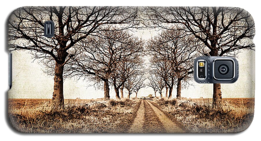 Avenue Galaxy S5 Case featuring the photograph Winter Avenue by Meirion Matthias