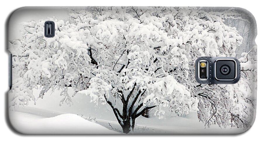 Tree Galaxy S5 Case featuring the digital art Winter Fluff by Richard Ortolano