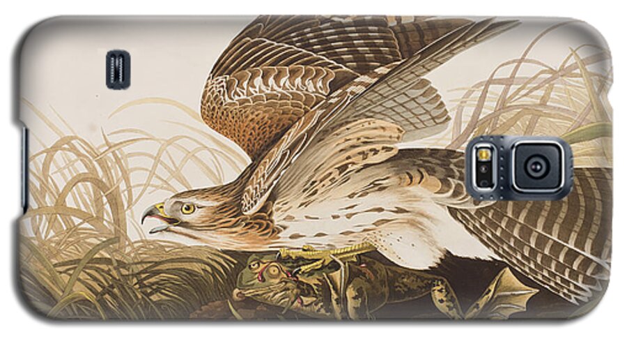 Winter Hawk Galaxy S5 Case featuring the painting Winter Hawk by John James Audubon