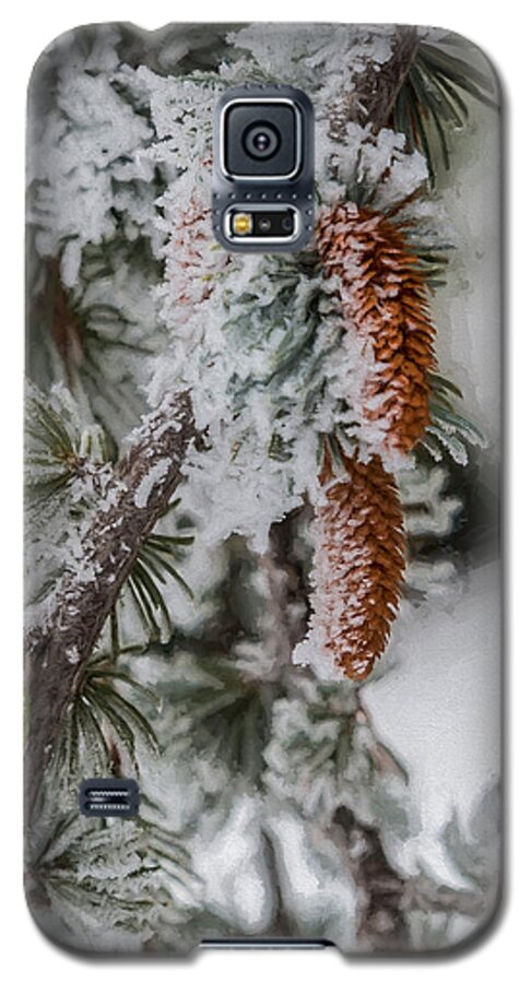 Architectural Photographer Galaxy S5 Case featuring the photograph Winter Pine Cones by Lou Novick