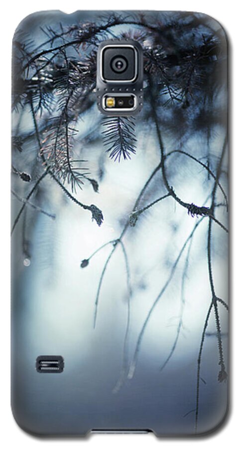 Winter Galaxy S5 Case featuring the photograph Winter by Rebecca Cozart