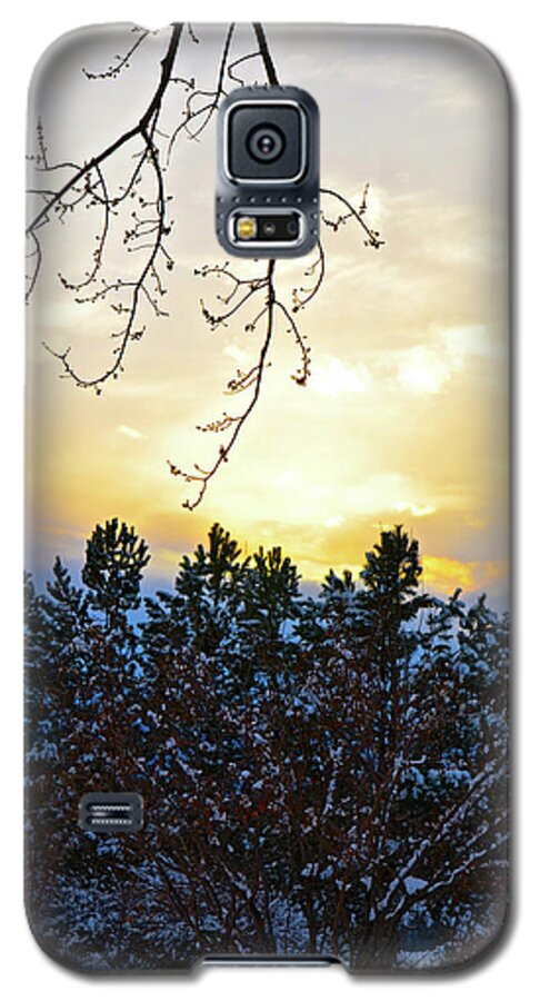 Winter Sunset Galaxy S5 Case featuring the photograph Winter Sunset on the Tree Farm #2 by Cindy Schneider