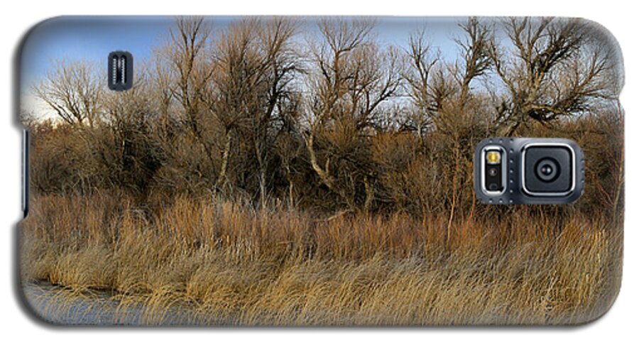 Snake River Galaxy S5 Case featuring the photograph Winter Trees Along The Snake by Ed Riche